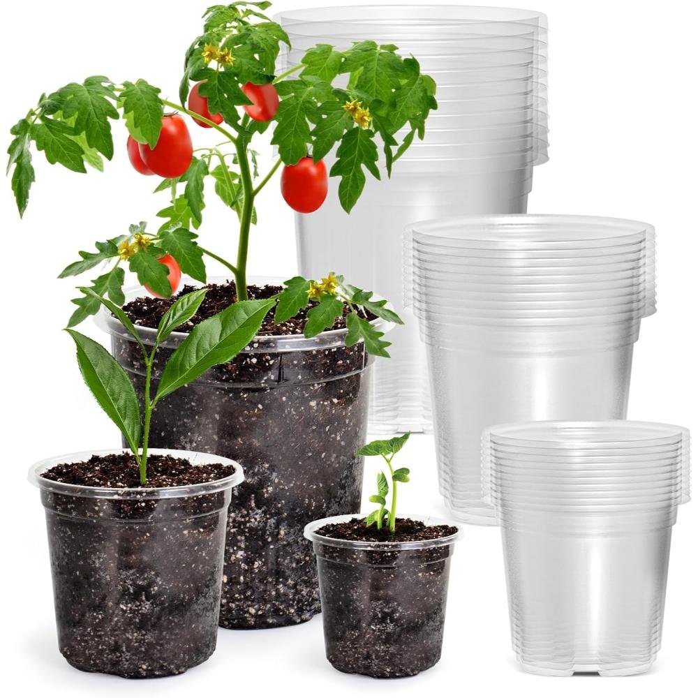 Bulk clear plastic nursery pots in various sizes with tomato plant and seedlings showing visible root systems and soil through transparent containers