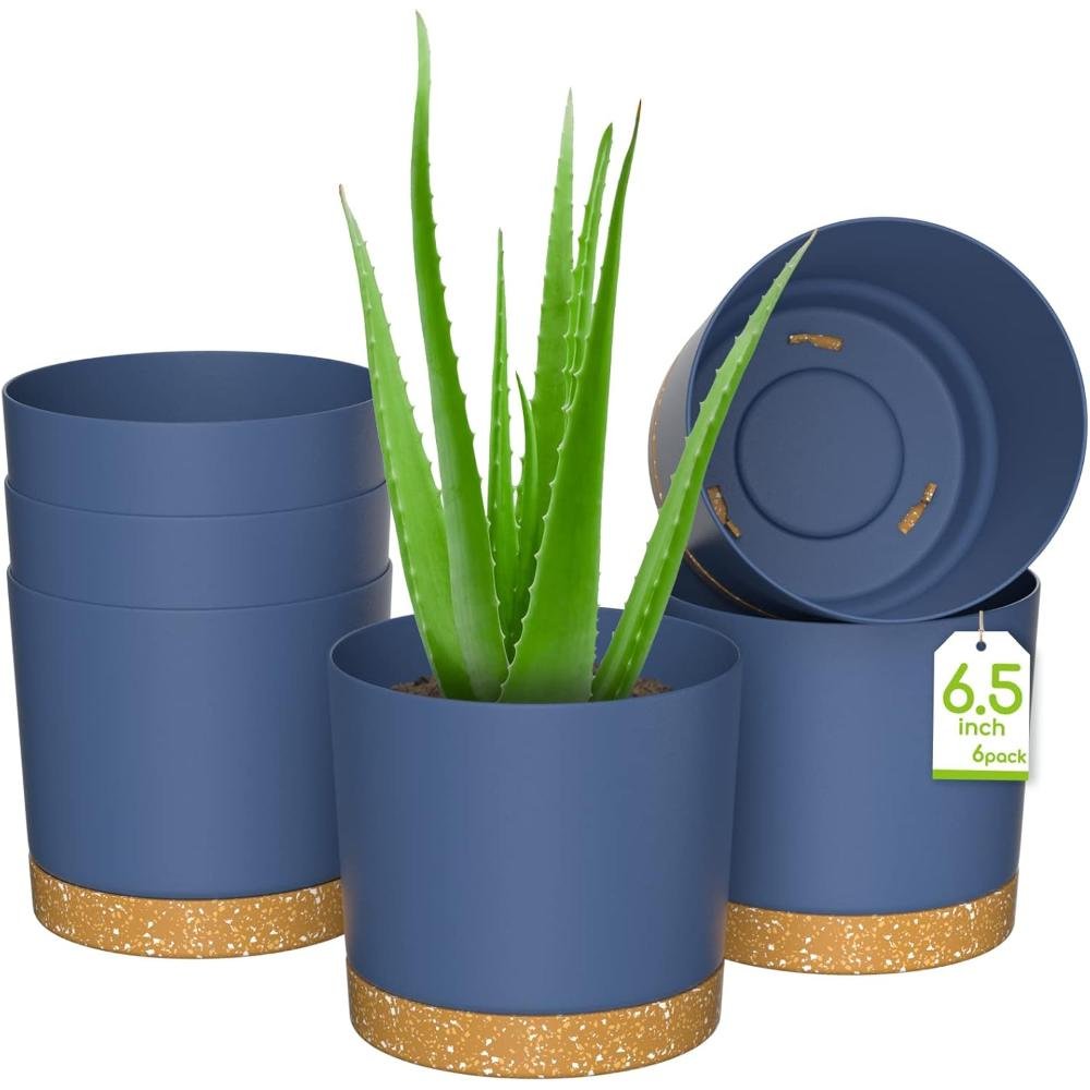 Six-pack of modern navy blue ceramic plant pots with gold speckled bottom trim and matching drainage saucers holding aloe vera plant
