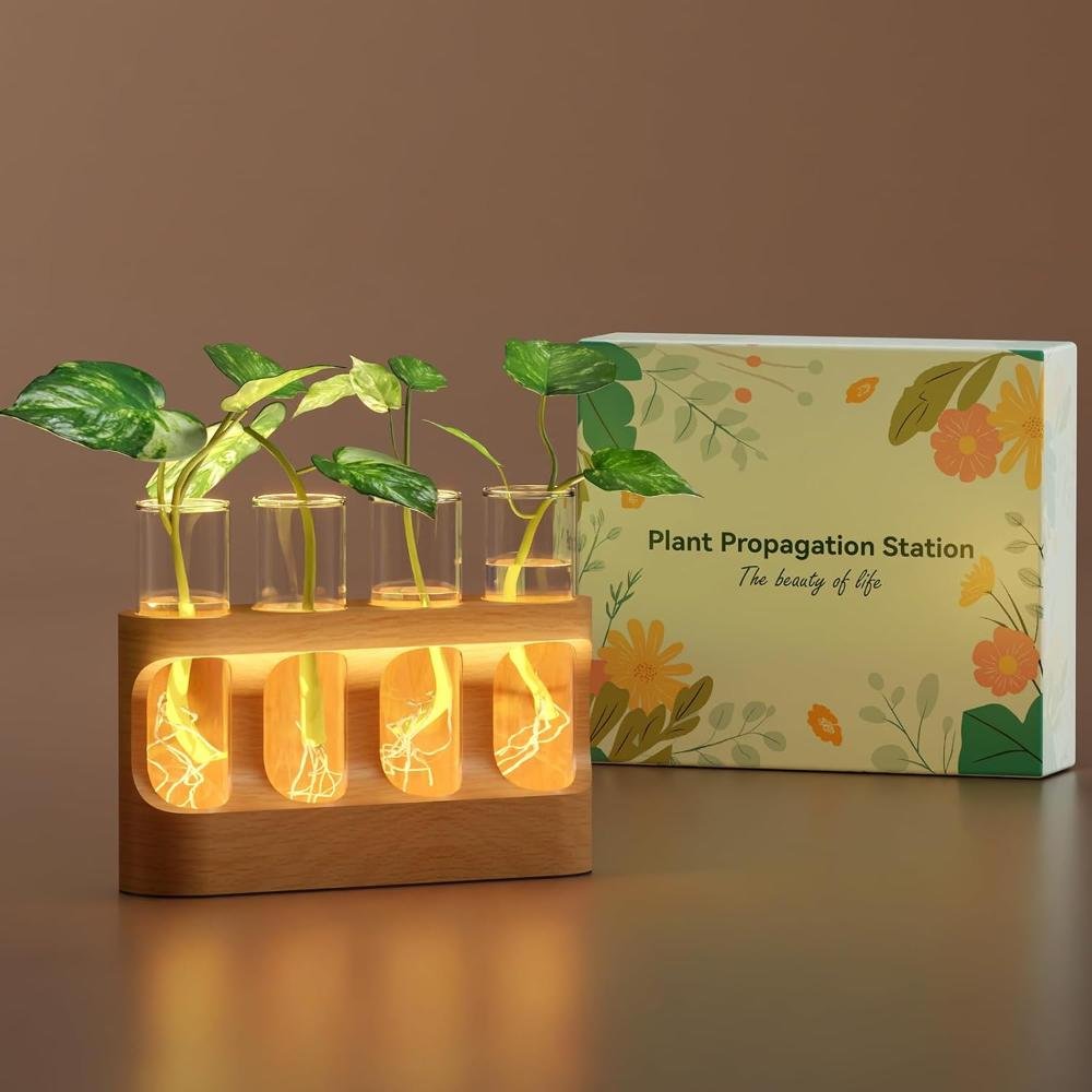 Decorative plant propagation station with four glass test tubes in illuminated wooden base showing pothos cuttings with visible growing roots and retail packaging