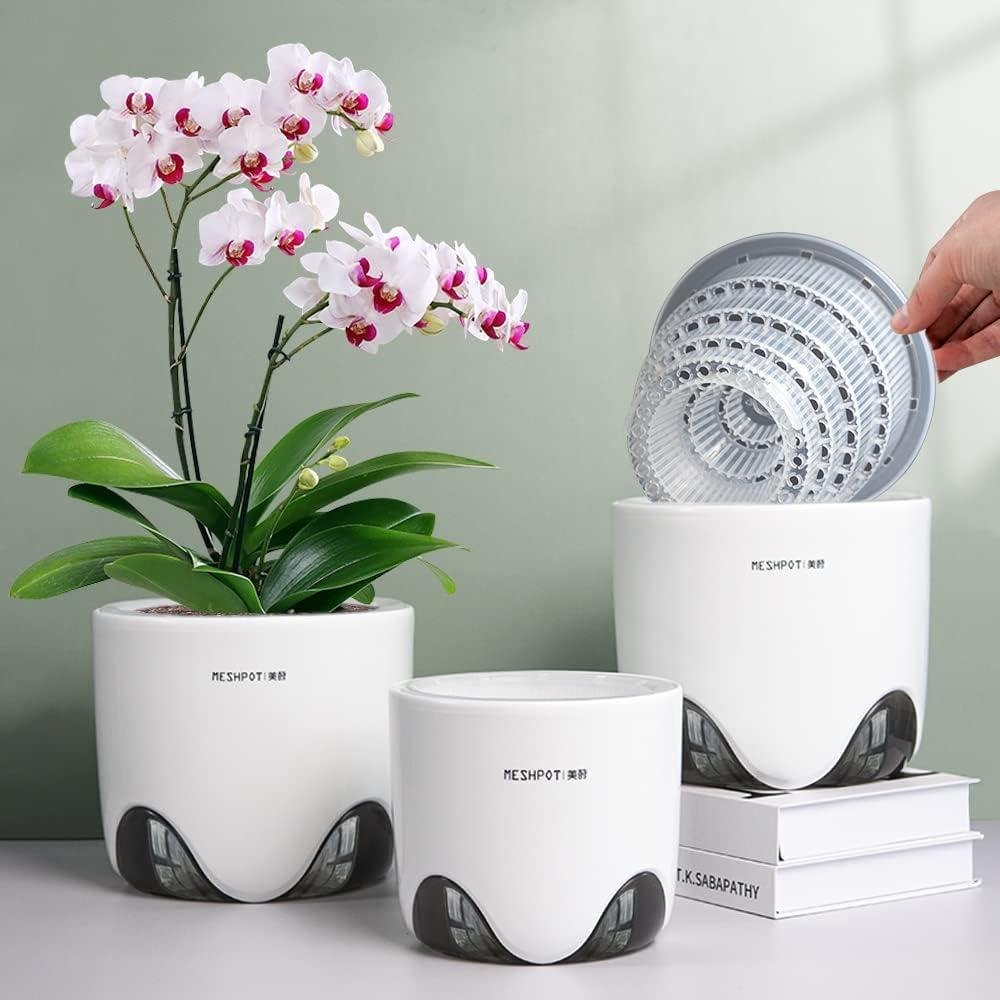 Three white ceramic orchid planters with removable clear mesh inner pots showing pink phalaenopsis orchid in bloom on sage green background